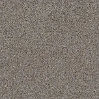 Draufsicht Girloon TWIN Teppichboden Velours 745 Braun, 2/4 m breit